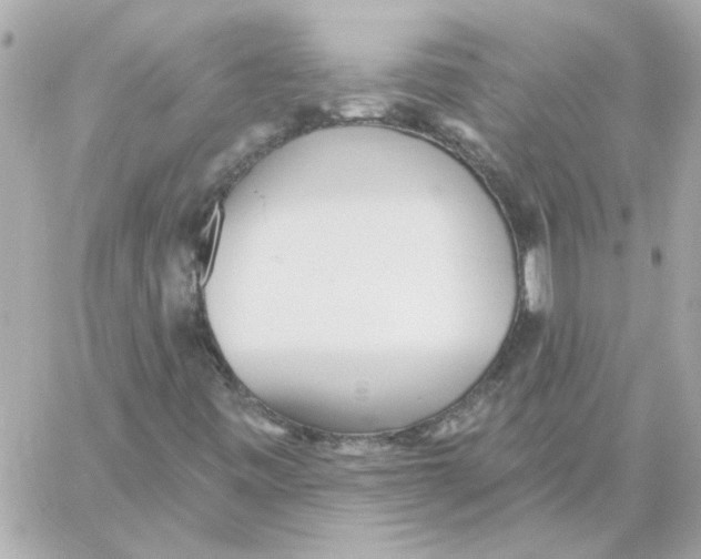 X0000059061443200511041716