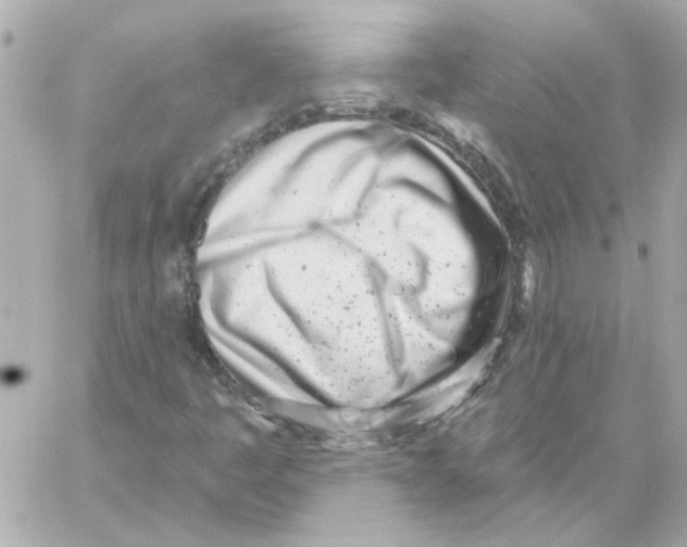 X0000059061445200511041716