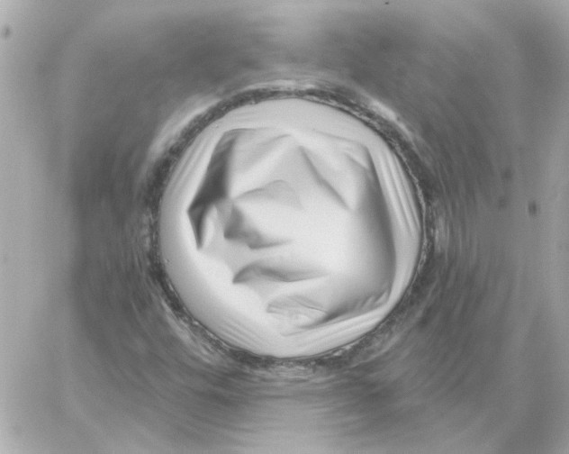 X0000059061448200511041716