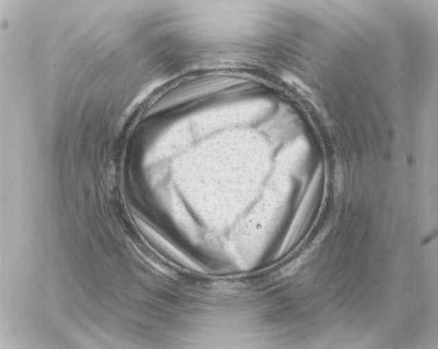 X0000059061449200511041716