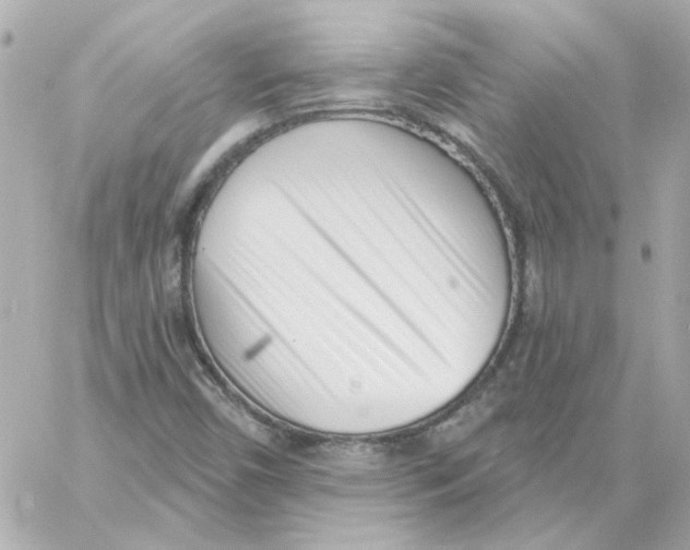 X0000059061450200511041716