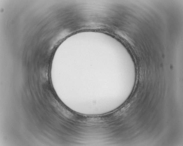 X0000059061451200511041716