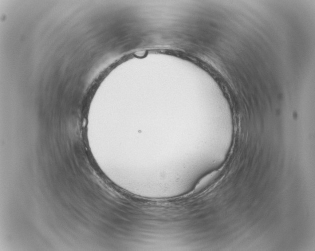 X0000059061452200511041716