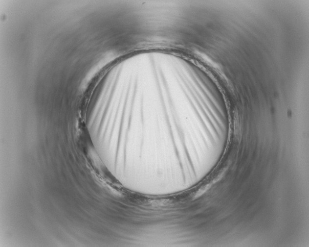 X0000059061453200511041716