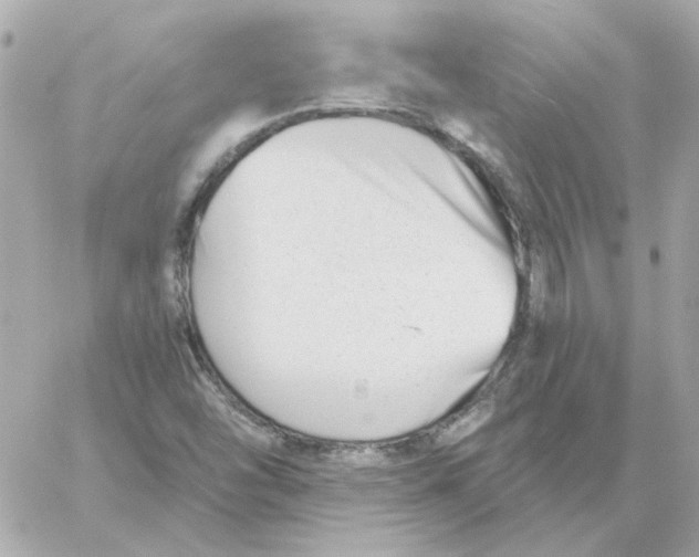 X0000059061454200511041716