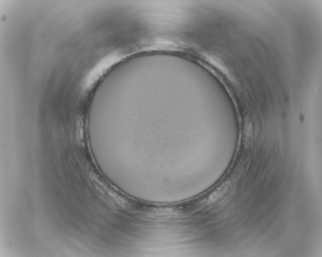 X0000059061455200511041716