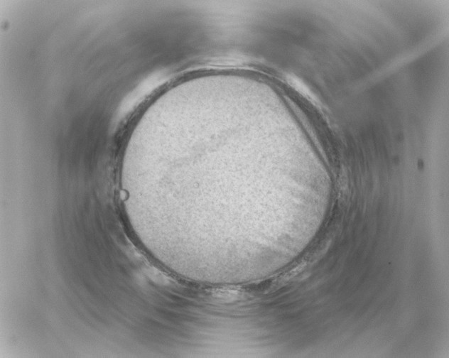 X0000059061456200511041716