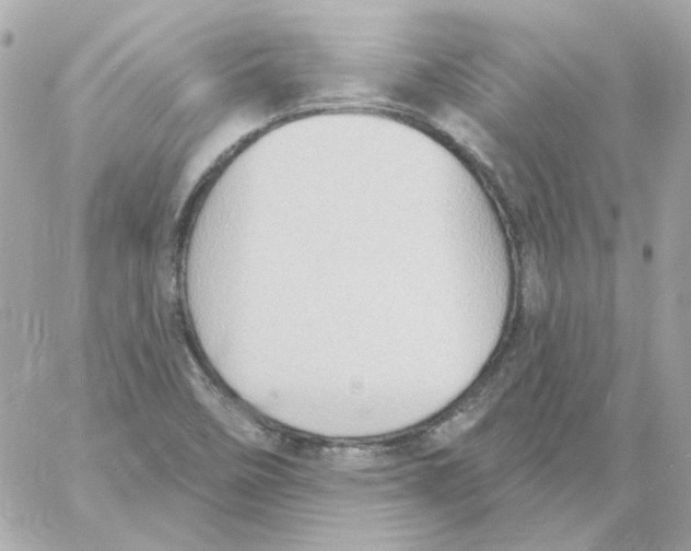 X0000059061458200511041716