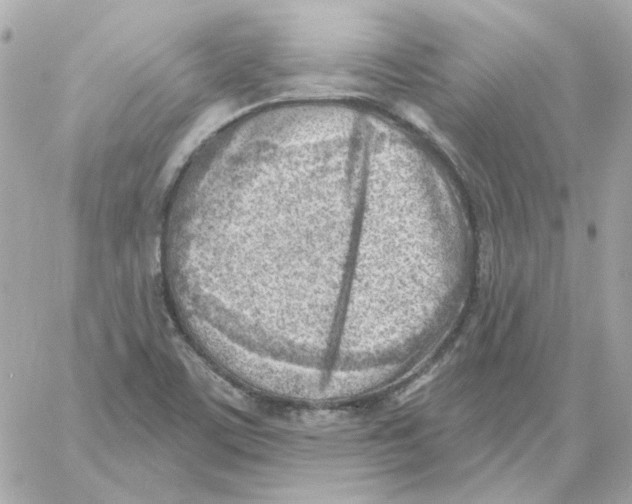 X0000059061459200511041716