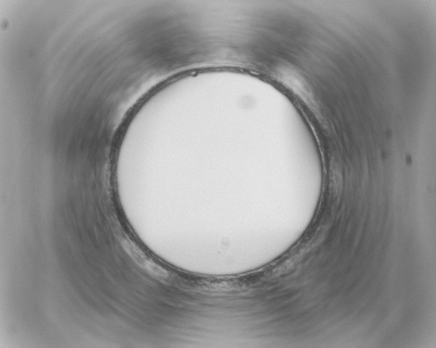 X0000059061460200511041716