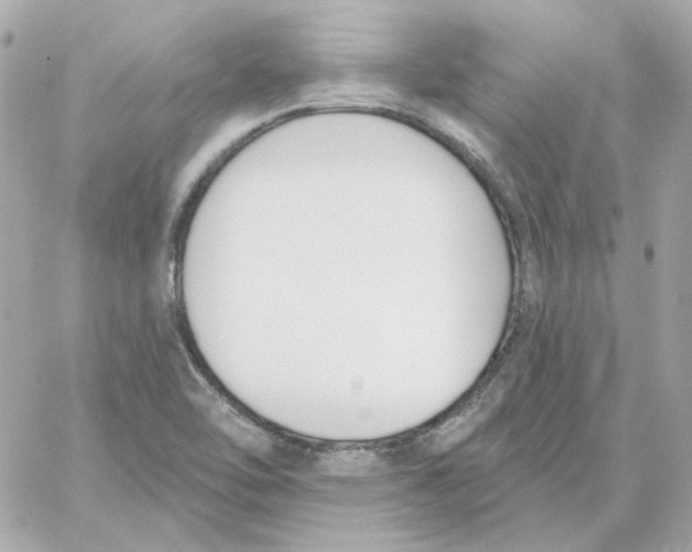 X0000059061462200511041716