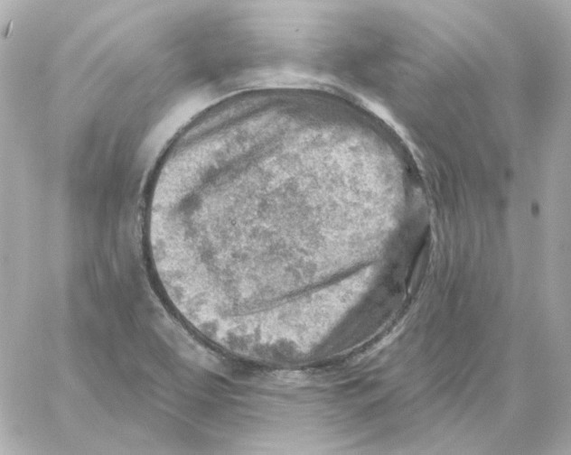 X0000059061463200511041716