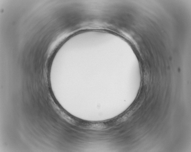 X0000059061464200511041716