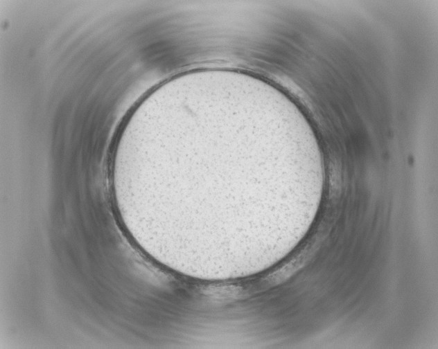 X0000059061466200511041716