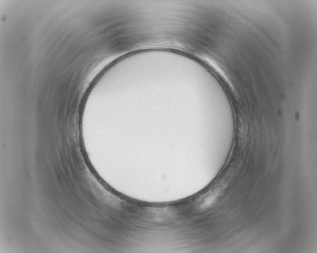 X0000059061468200511041716