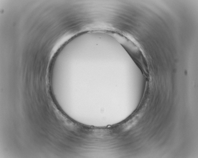 X0000059061469200511041716