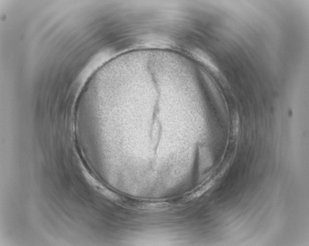 X0000059061471200511041716