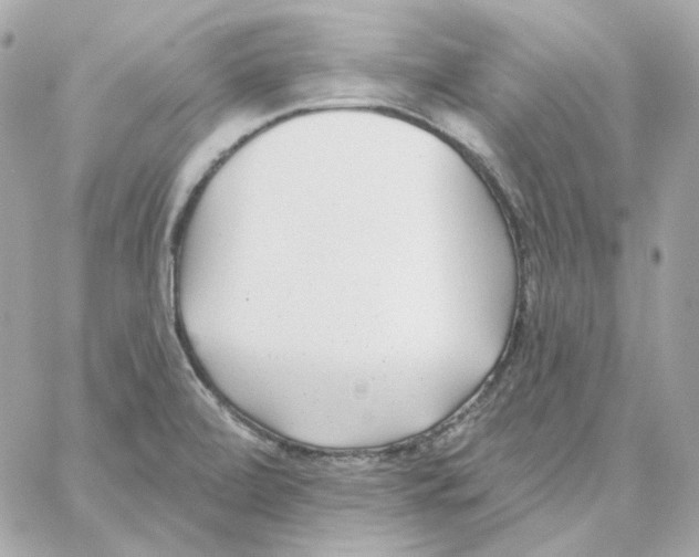 X0000059061472200511041716