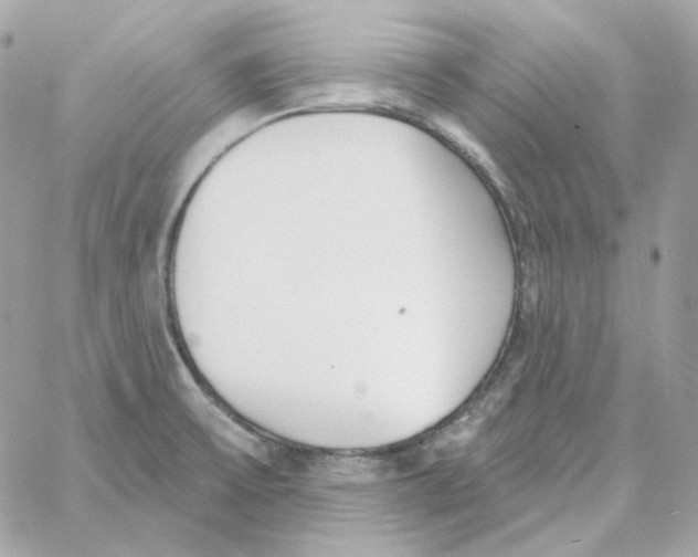 X0000059061475200511041716