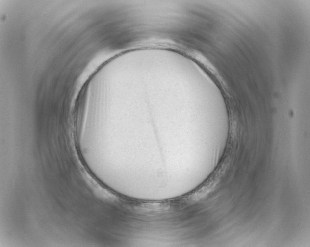 X0000059061478200511041715