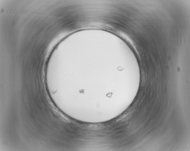 X0000059061480200511041715