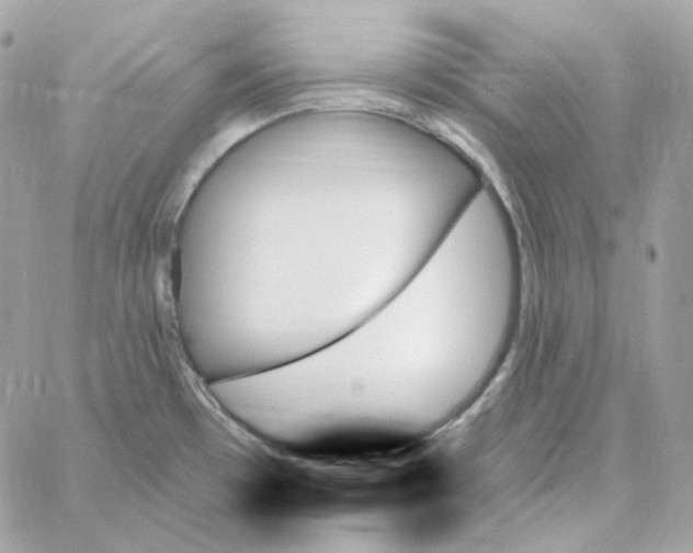 X0000059061481200511041715