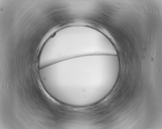 X0000059061484200511041715