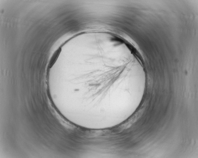 X0000059061485200511041715