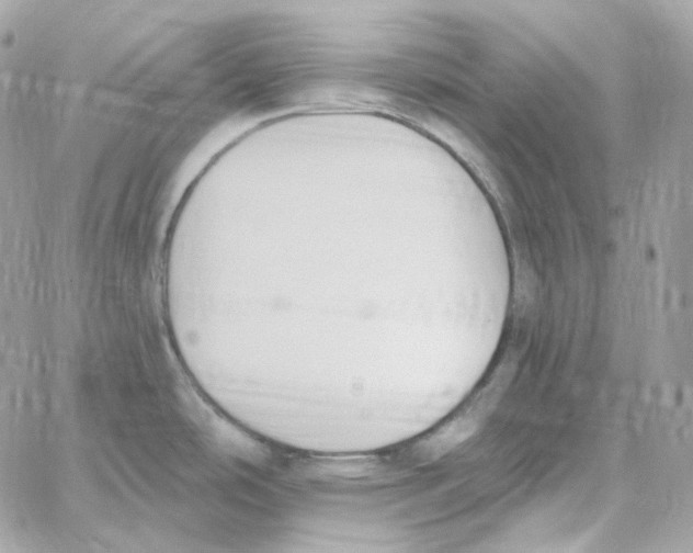 X0000059061486200511041715