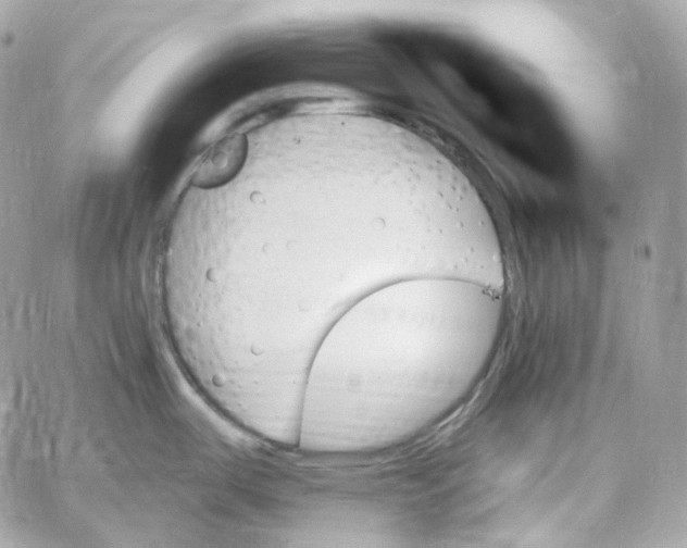 X0000059061487200511041715