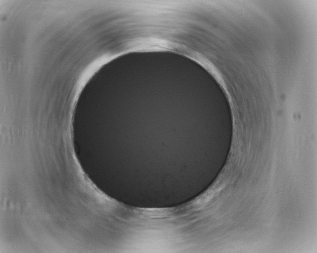 X0000059061488200511041715