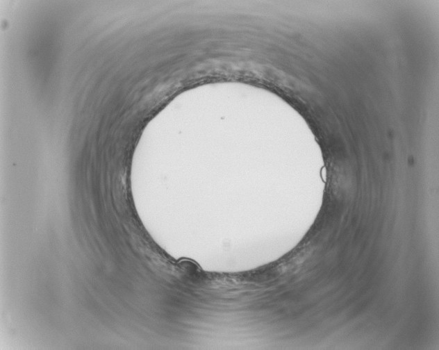 X0000059061489200511041715