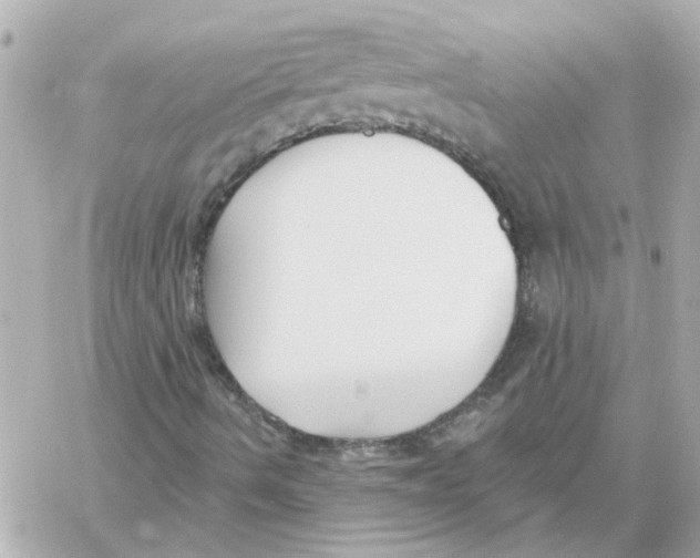 X0000059061490200511041715