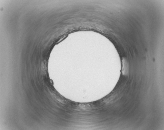 X0000059061491200511041715