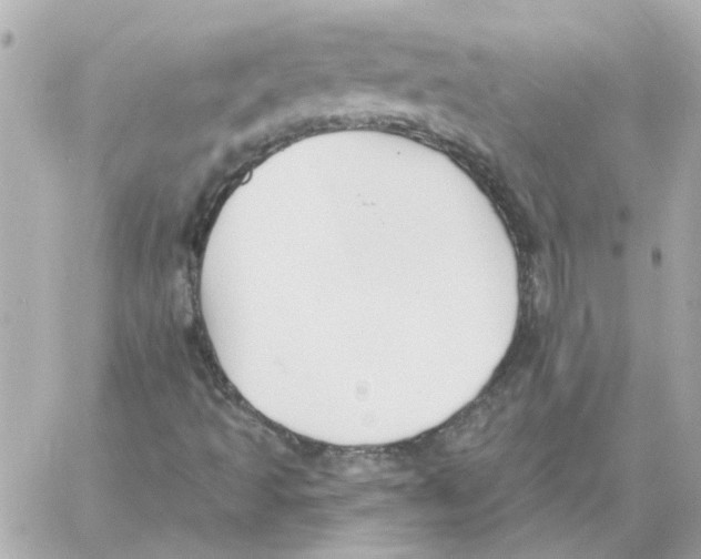 X0000059061493200511041715