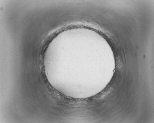 X0000059061494200511041715