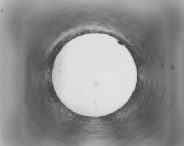 X0000059061495200511041715