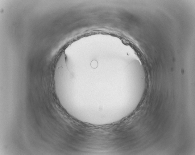 X0000059061496200511041715