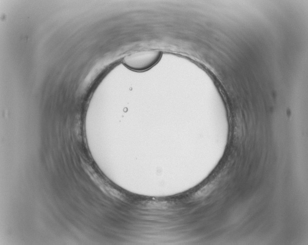 X0000059061499200511041715