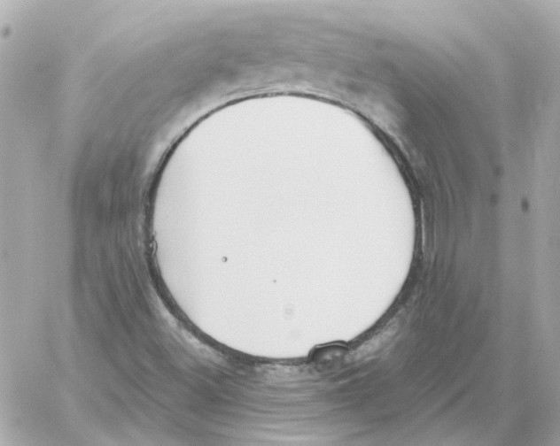 X0000059061500200511041715