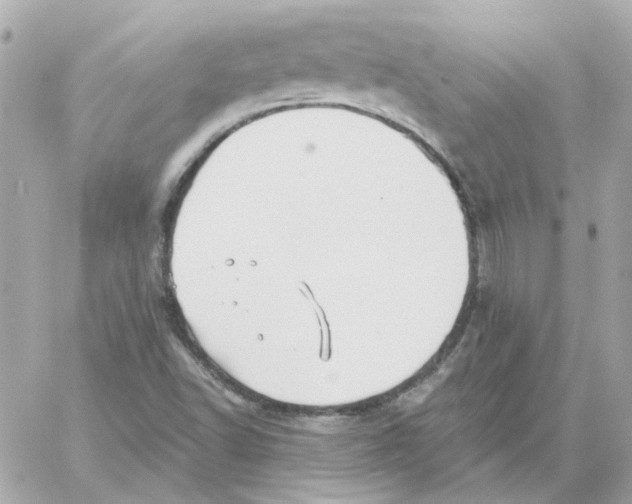 X0000059061502200511041715