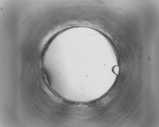 X0000059061503200511041715