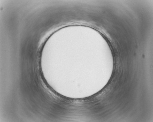 X0000059061504200511041715