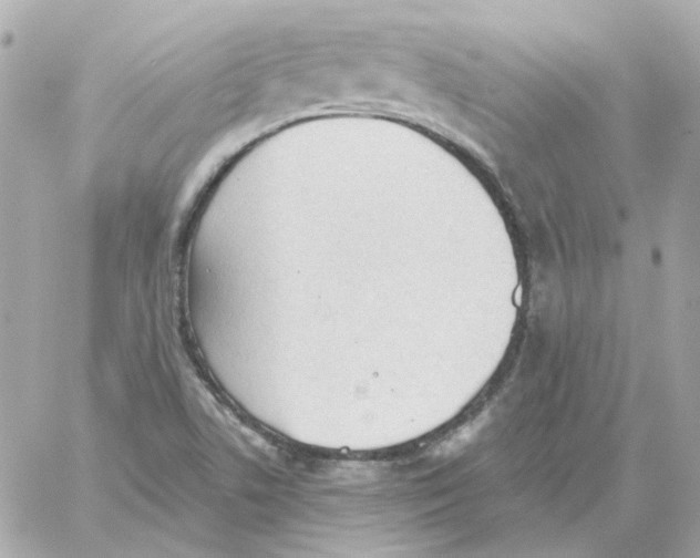 X0000059061506200511041715