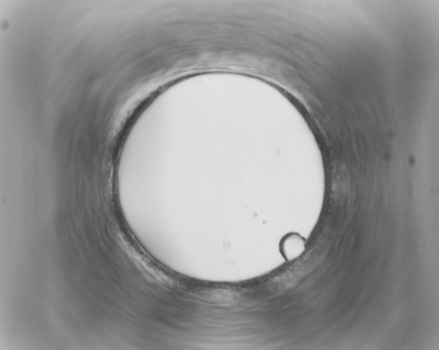 X0000059061507200511041715