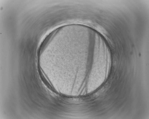 X0000059061508200511041715