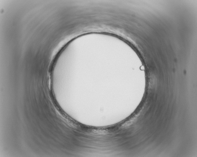 X0000059061509200511041715