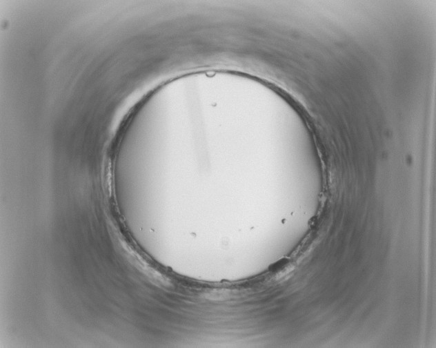 X0000059061510200511041715