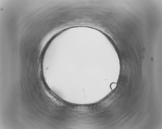 X0000059061511200511041715