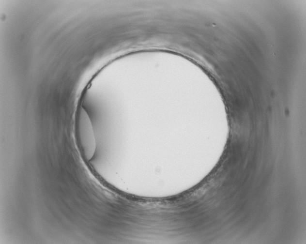 X0000059061512200511041715